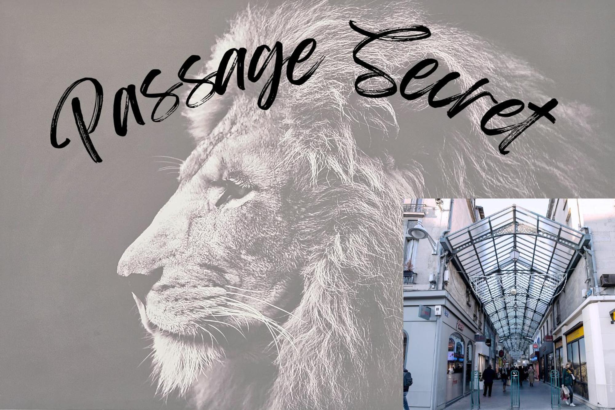 Passage Secret - Ideal Pro, Couples, Familles & Amis - Le Calme En Hypercentre - Wifi Debit - Netflix - Machine A Laver - Gare, Cathedrale, Commerces, Restaurants & Transports En Commun A Moins De 10 Minutes A Pied * Reims