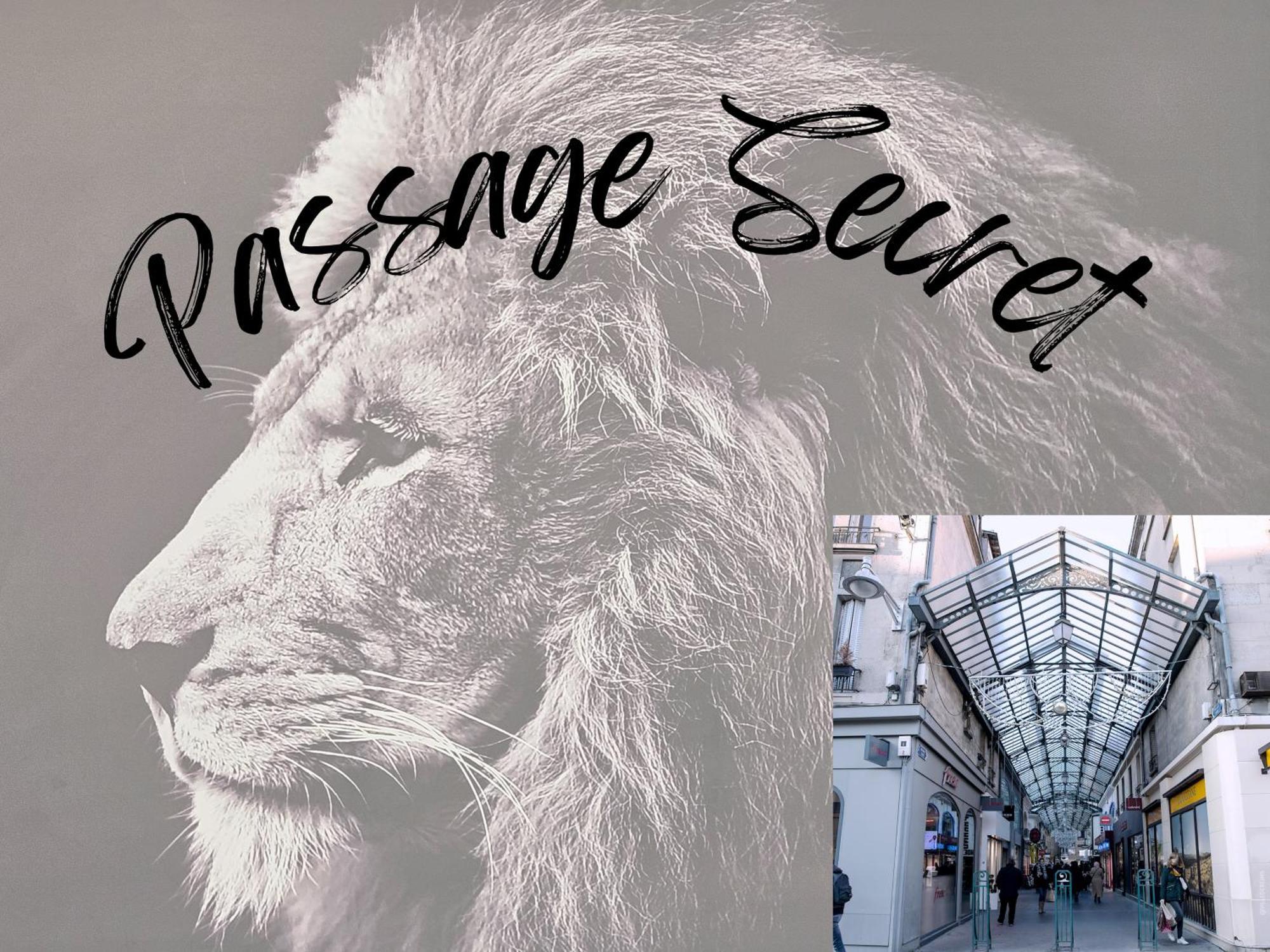 Passage Secret - Ideal Pro, Couples, Familles & Amis - Le Calme En Hypercentre - Wifi Debit - Netflix - Machine A Laver - Gare, Cathedrale, Commerces, Restaurants & Transports En Commun A Moins De 10 Minutes A Pied * Reims